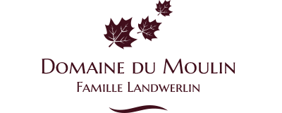Domaine Du Moulin