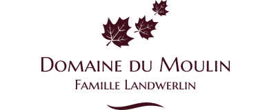 Domaine Du Moulin